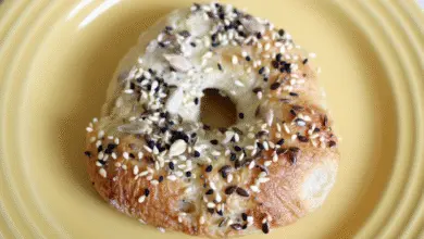 bagel recipe