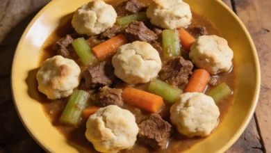 beef stew dumplings